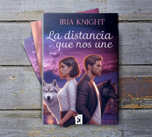 DISEÑO WEB La distancia que nos une